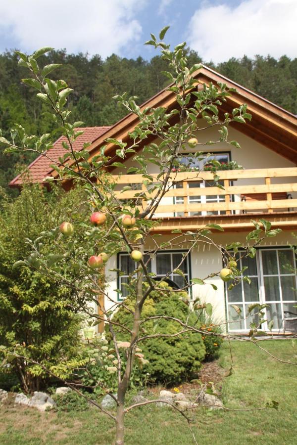 Ferienwohnung Purbach Muggendorf  Εξωτερικό φωτογραφία